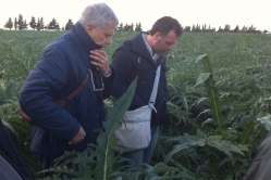 E8 - 2014-01-24_corso specializzazione 003