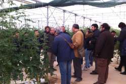 E8 - 2014-01-31_corso specializzazione 001
