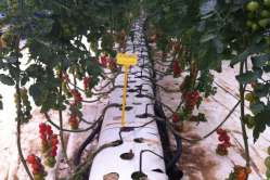 E8 - 2014-01-31_corso specializzazione 002