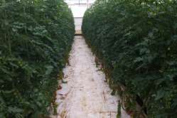 E8 - 2014-01-31_corso specializzazione 003