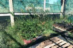 2015-09-29_D1-monitoraggio_002.JPG