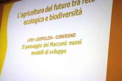 2013-11-23_incontro Nuovi modelli di sviluppo_005.jpg