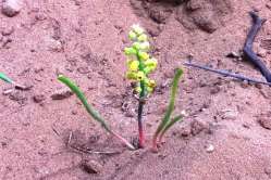 2015-04-19_E7-escursione Giardina_002.jpg