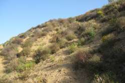 D1 - 2013-04-28_monitoraggio 2 004