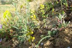 D1 - 2013-04-28_monitoraggio 2 005