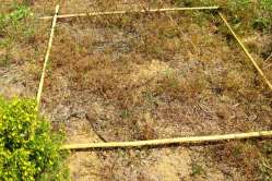 D1 - 2013-05-02_monitoraggio 3 001