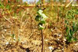 D1 - 2013-05-02_monitoraggio 3 002