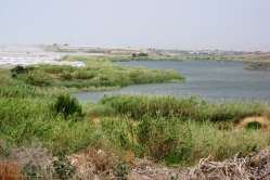 D1 - 2013-05-22_monitoraggio 4 004