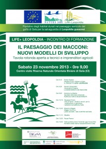 locandina tavola rotonda 23 novembre 2013
