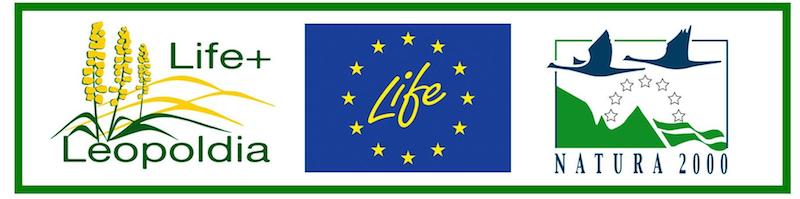 leopoldia life+