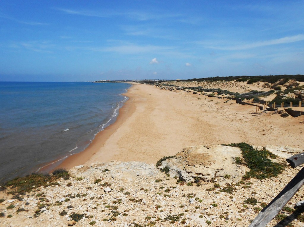 erosione costiera