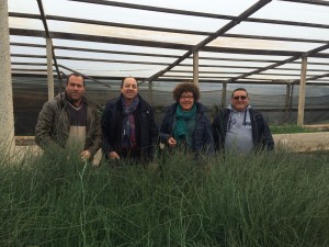 Il gruppo di lavoro nel vivaio di Cava Randello